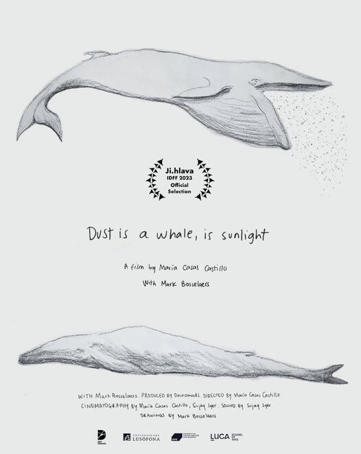 Dust is a whale, is sunlight (2023) - Director: Maria Casas Castillo